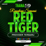 Rasakan Sensasi RED TIGER Provider Terbaru