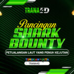 Pancingan Shark Bounty: Petualangan Laut yang Penuh Kejutan
